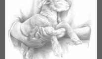 In His Hands ll