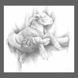 In His Hands ll
